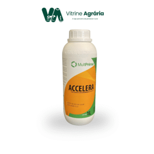 ACCELERA 1L - Multi Prime